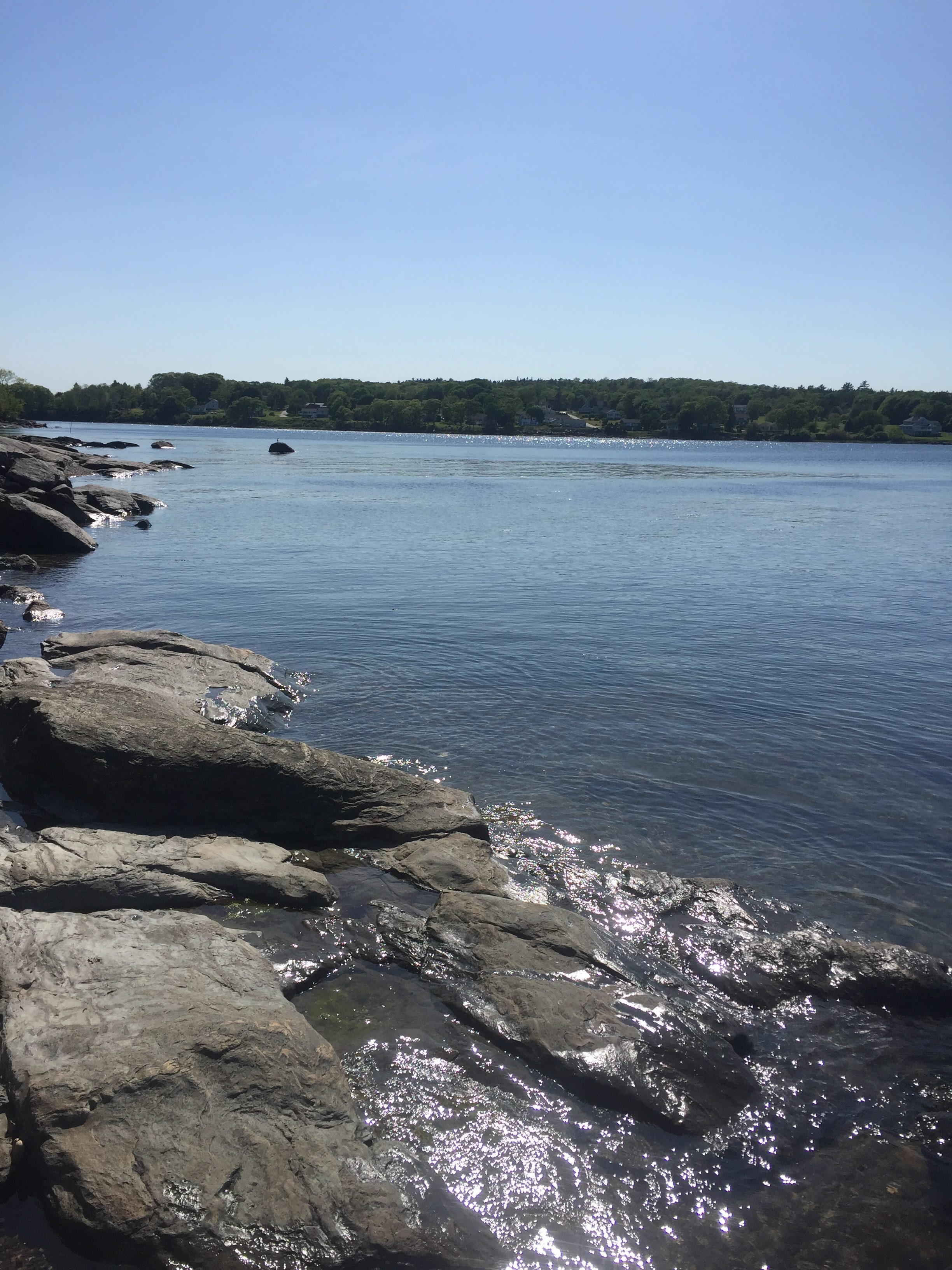 Owls Head Vacation Rental Whispering Tides Shoreline Vinalhaven