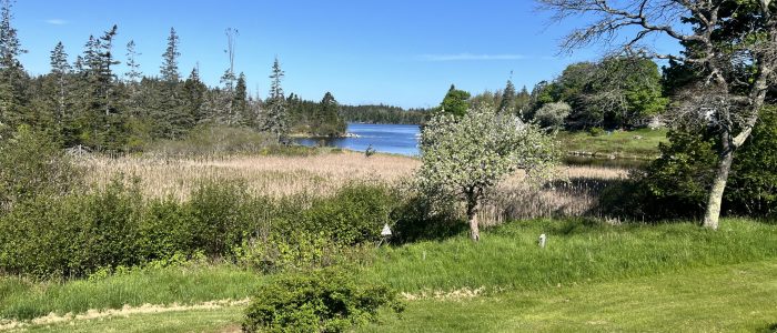 Vinalhaven_Island_Rentals_The_Pond_Home_IMG_1776 Vinalhaven Island Rentals - The Pond Home