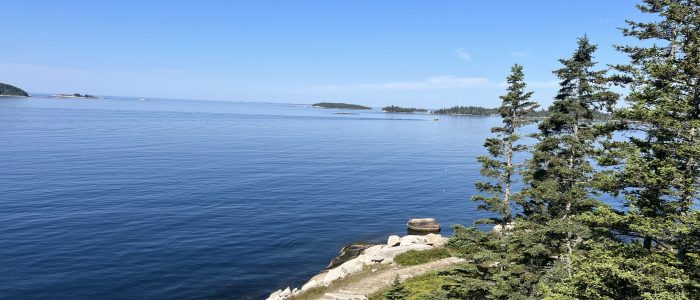 Vinalhaven Island Vacation Rental Citi Point - IMG_1845 Vinalhaven Island Vacation Rental - Citi Point