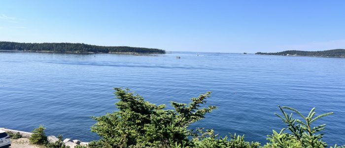 Vinalhaven Island Vacation Rental Citi Point - IMG_1846 Vinalhaven Island Vacation Rental - Citi Point